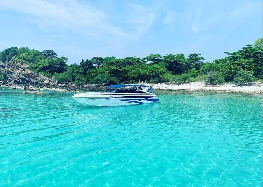 Ko Samui: Pig Island Snorkeling and Koh Tan Speedboat Tour - Koh Tan: 1 hour of snorkeling, swimming, and that intact reef vibe
