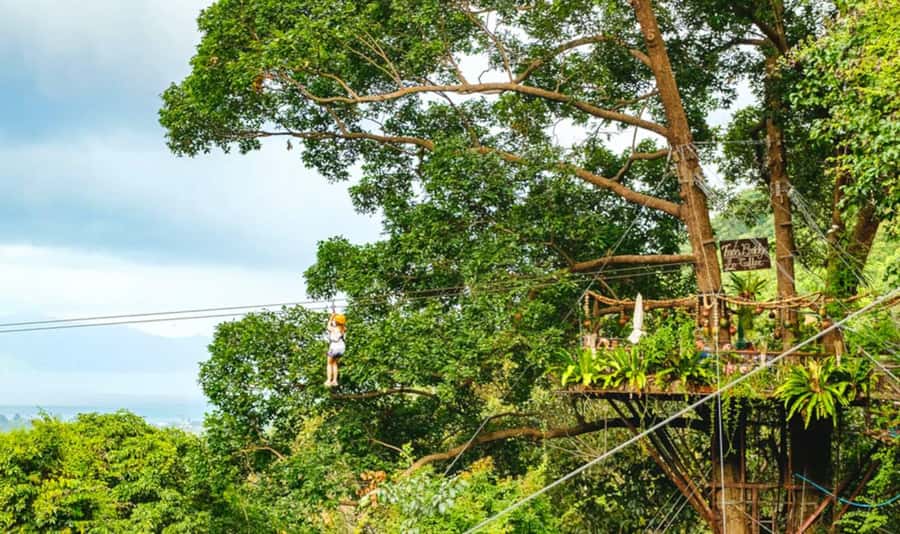 Ko Samui: Tree Bridge Jungle Zipline and Waterfall Adventure - Who This Tour Suits Best (and Who Should Skip)