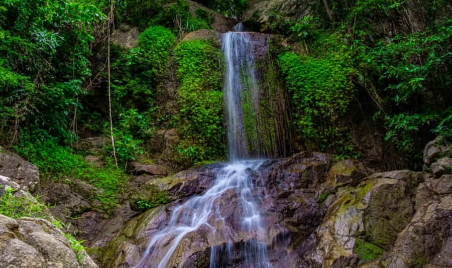 Ko Samui: Tree Bridge Jungle Zipline and Waterfall Adventure - Safety Training + Harness Checks Before You Fly