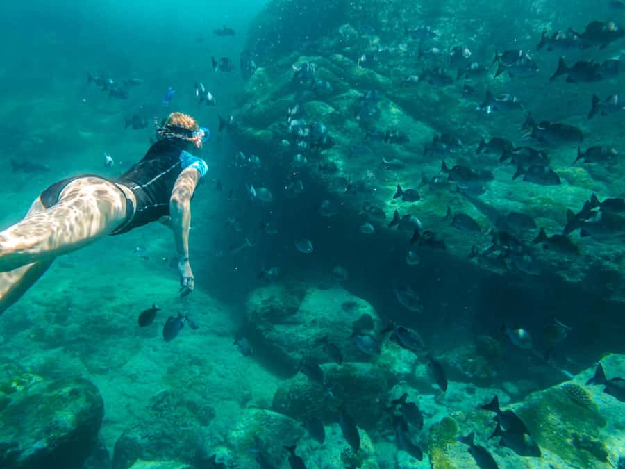 Ko Samui: Unique Ko Tao & Ko Nang Yuan Snorkeling Day Trip - Key things I’d zero in on