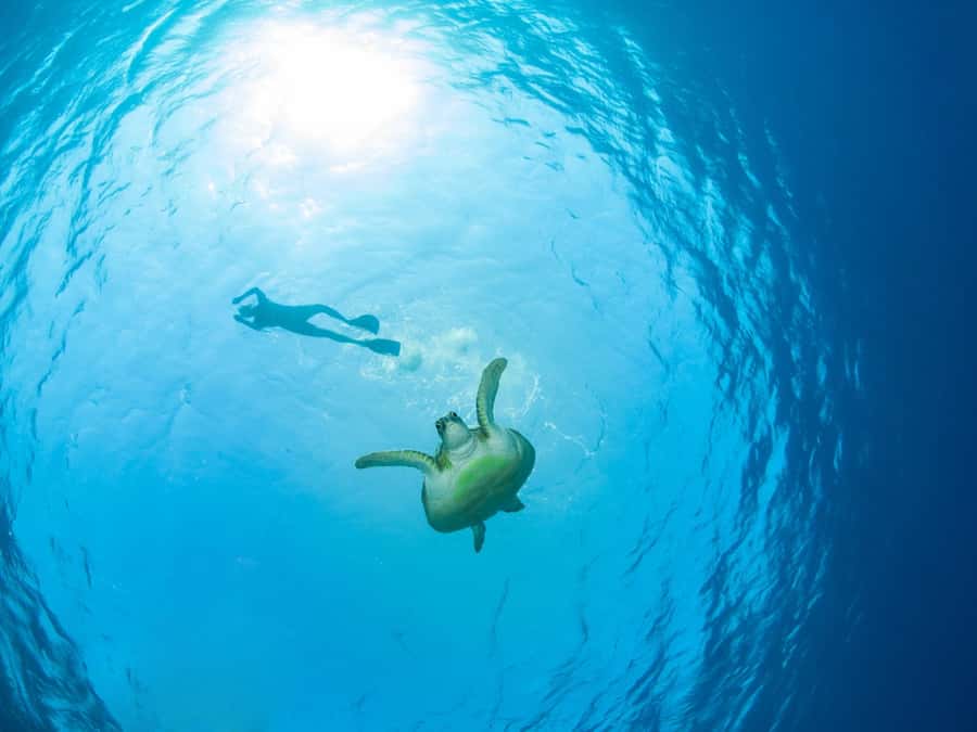Ko Samui: Unique Ko Tao & Ko Nang Yuan Snorkeling Day Trip - Which bays you might snorkel: a practical way to set expectations