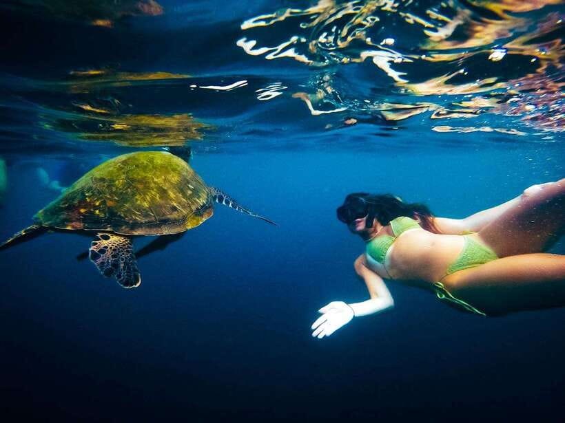 Ko Tao: Late Riser Snorkeling Tour with Lunch and Photos - Price and Value in Six Hours: Is It Worth $28?