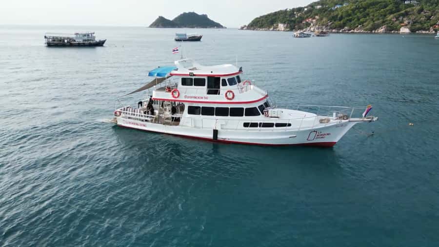 Ko Tao: Open Water Scuba Diving 4-Day Course - First Open-Water Sessions to 12 Meters: Reef Life on Ko Tao