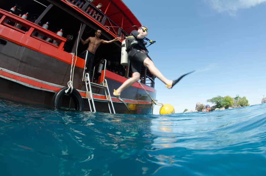 Koh Chang: 1-Day Dive Trip to Top Underwater Sites - Key highlights worth circling