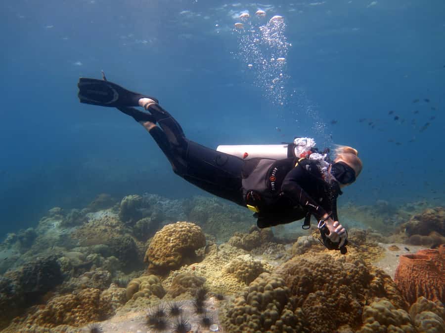 Koh Chang: 3-Day PADI Open Water Scuba Dive Course - The 3-Day Flow: Home Theory, Pool Skills, Then Open-Water Training