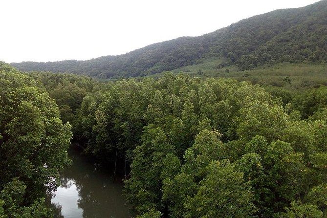 Koh Chang Explorer (joined) - Salak Kok mangroves by boat: the best nature moment
