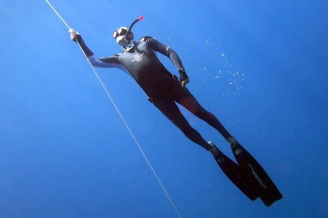 Koh Chang Freedive Trip ( Start at Koh Chang) - Key highlights you’ll care about