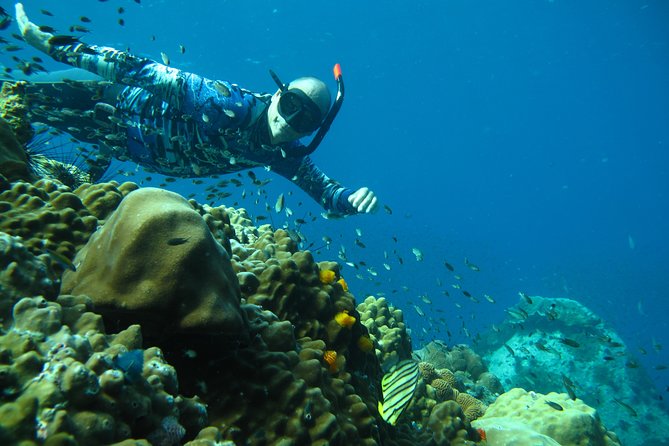Koh Chang Freedive Trip ( Start at Koh Chang) - The day’s flow: from breakfast timing to onboard meals