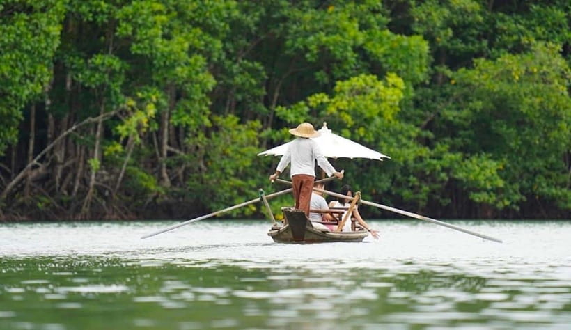 Koh Chang: Mangrove Forest Gondola Tour - Key points before you go
