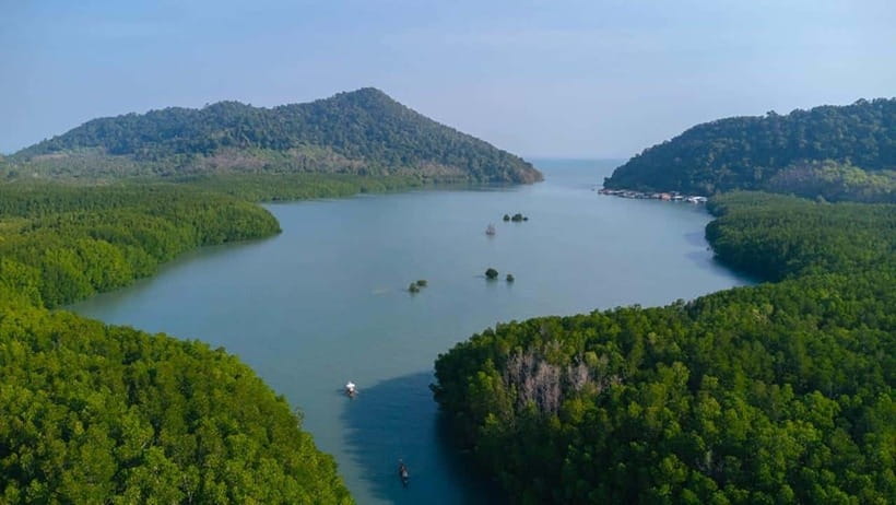 Koh Chang: Mangrove Forest Gondola Tour - A paddle gondola through Salak Khok mangroves: the real appeal