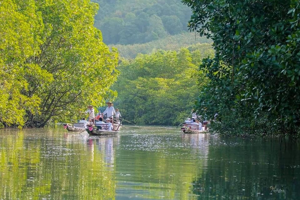 Koh Chang: Mangrove Forest Gondola Tour - Price and value: when $33 per group makes sense