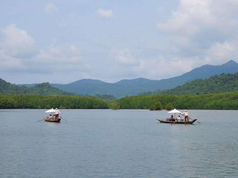Koh Chang: Mangrove Forest Gondola Tour - Should you book the Koh Chang Mangrove Gondola Tour?