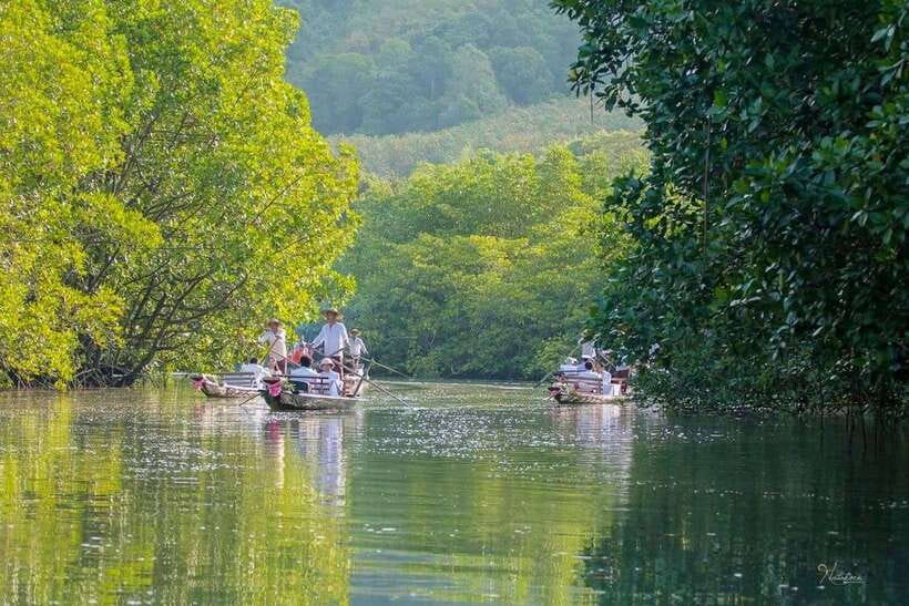 Koh Chang: Mangrove Forest Gondola Tour - 40 minutes on the water: how the timing actually feels
