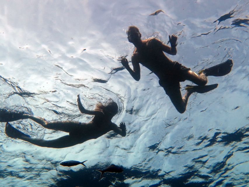 Koh Chang: Snorkeling Trip to Reefs or Wrecks with Lunch - Who this tour is best for (and who should rethink it)