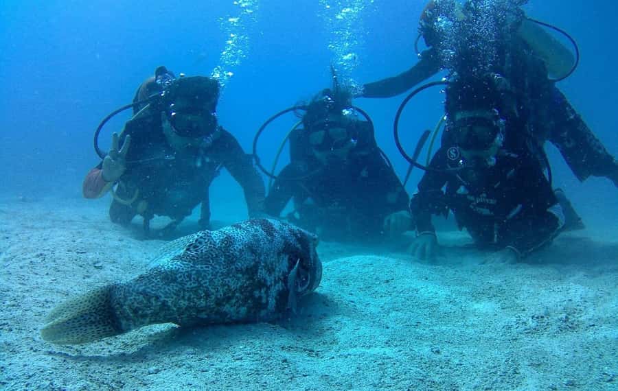 Koh Kood: Discover Scuba Diving for Beginners with 2 Dives - A Beginner-Friendly Scuba Day in Koh Kood (No Certification Needed)