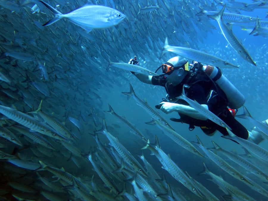 Koh Kood: Discover Scuba Diving for Beginners with 2 Dives - Key Points Before You Go