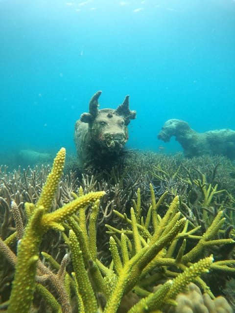 Koh Kood or Koh Rang: Snorkeling trip with lunch & transfer - Koh Kood vs Koh Rang: your day depends on season and weekday