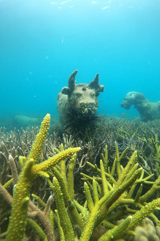 Koh Kood or Koh Rang: Snorkeling trip with lunch & transfer - Stop 1: your first up-to-one-hour snorkel spot (stingrays and more)