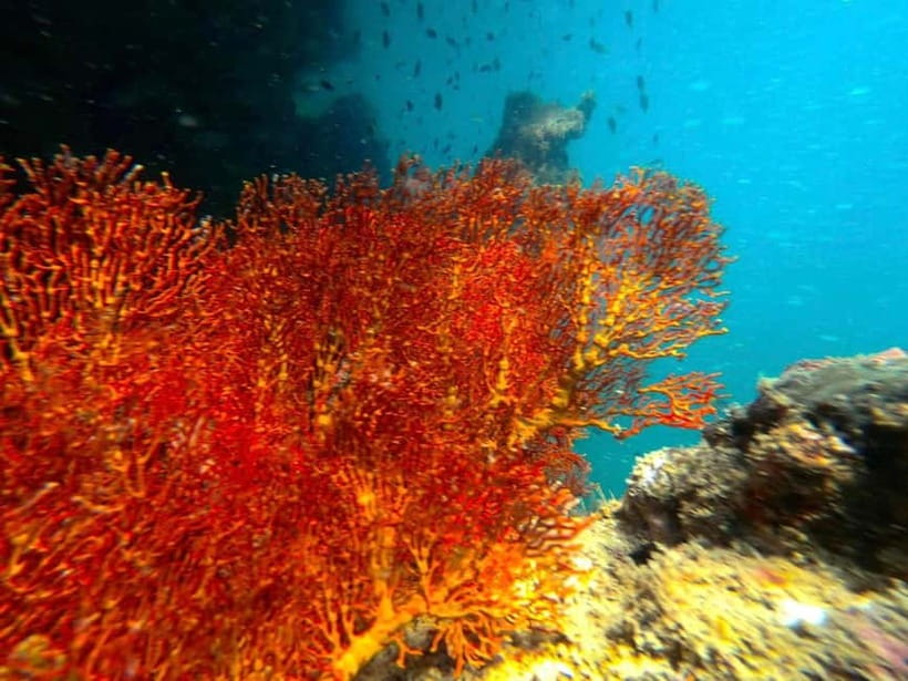 Koh Lanta: 4 Islands and Emerald Cave Snorkeling Trip - Price and value: what $55 gets you (and what it doesn’t)