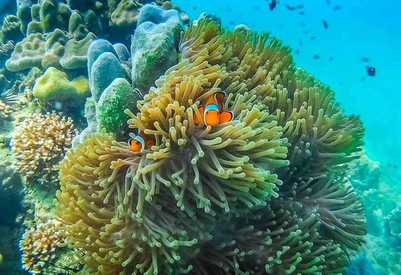 Koh Lanta: 4 Islands and Emerald Cave Snorkeling Trip - Koh Muk Morakot (Emerald Cave): the lagoon swim moment