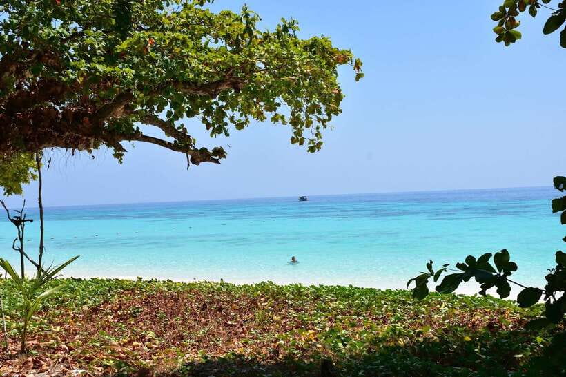 Koh Lanta: Adventure Sea Tour to Koh Rok and Koh Haa - Koh Lanta to Koh Rok and Koh Haa: a day built around water time