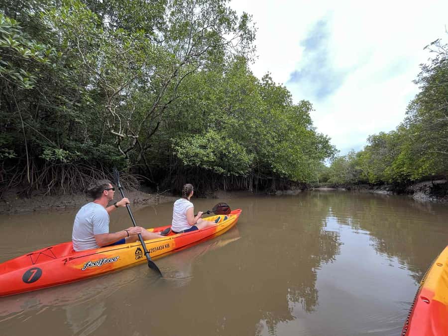 Koh Lanta: Amazon Mangrove Kayaking Tour With Lunch - Why This Koh Lanta Mangrove Paddle Feels Different