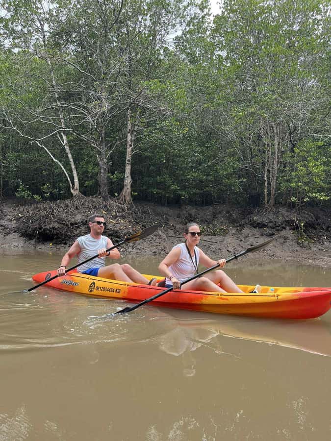 Koh Lanta: Amazon Mangrove Kayaking Tour With Lunch - Mangrove Nature That Feels Protected and Purposeful