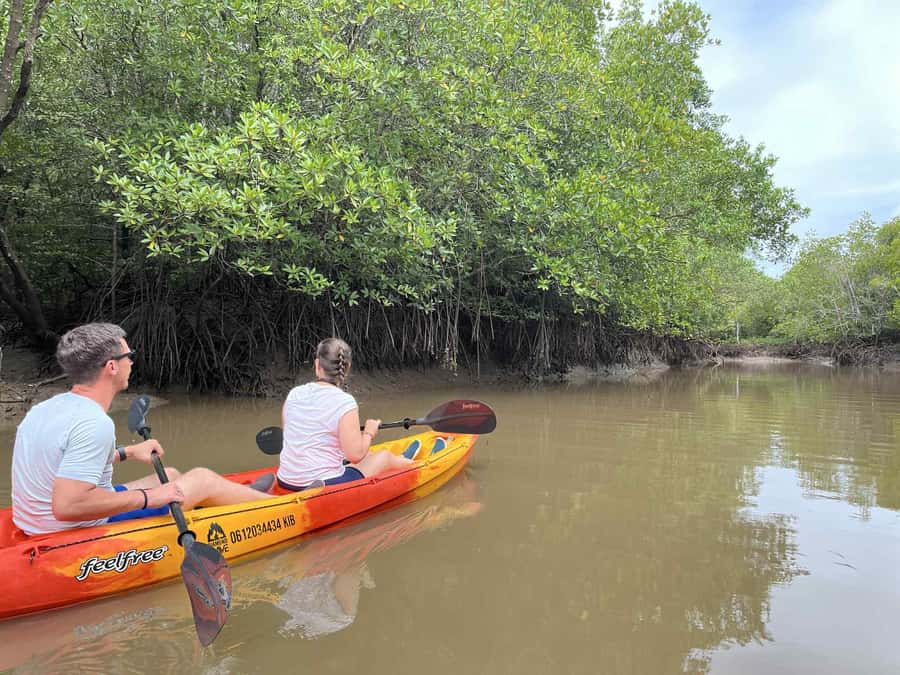 Koh Lanta: Amazon Mangrove Kayaking Tour With Lunch - Who This Tour Fits Best (and Who Might Want Something Else)