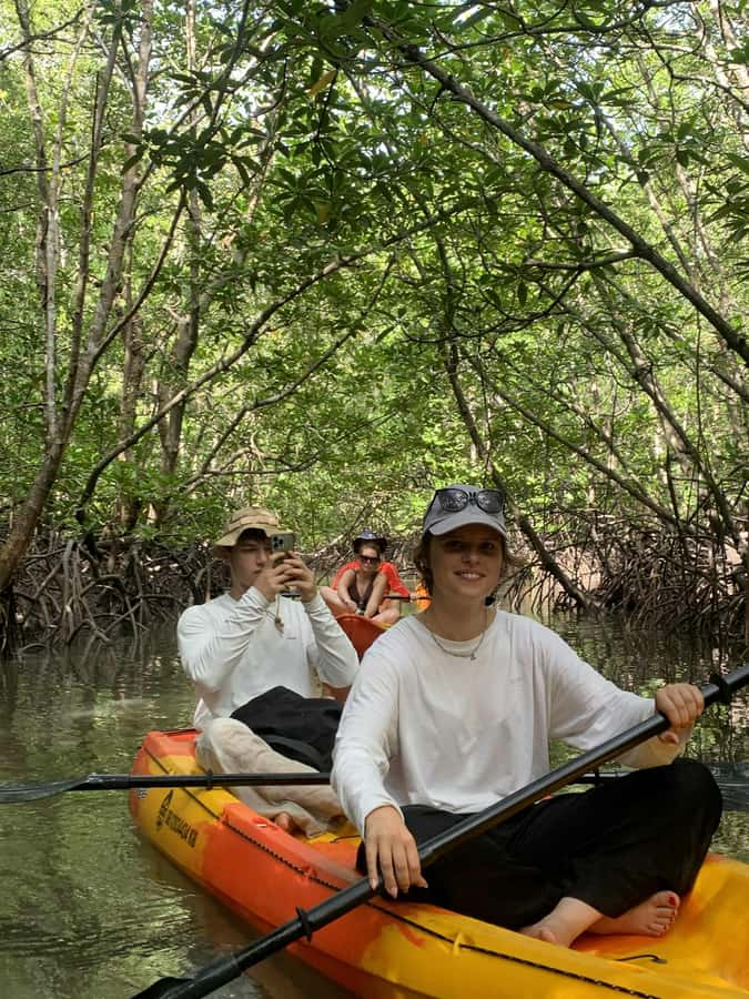Koh Lanta: Amazon Mangrove Kayaking Tour With Lunch - The 4-Hour Plan: Pickup, Kayak Time, and Lunch
