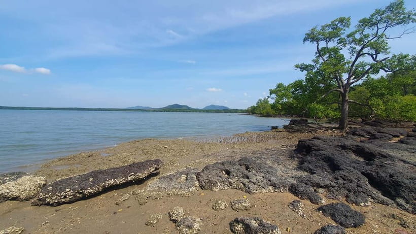 Koh Lanta Cultural Tuk-Tuk Tour: Old Town, Batik & Mangroves - Should you book this Koh Lanta tuk-tuk cultural tour?