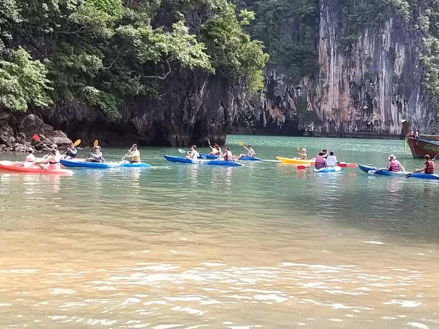 Koh Lanta: Kayaking and Longtail Boat Tour (Day trip) - The mangrove eco-tour: fiddler crabs, mudskippers, birds, and monkeys