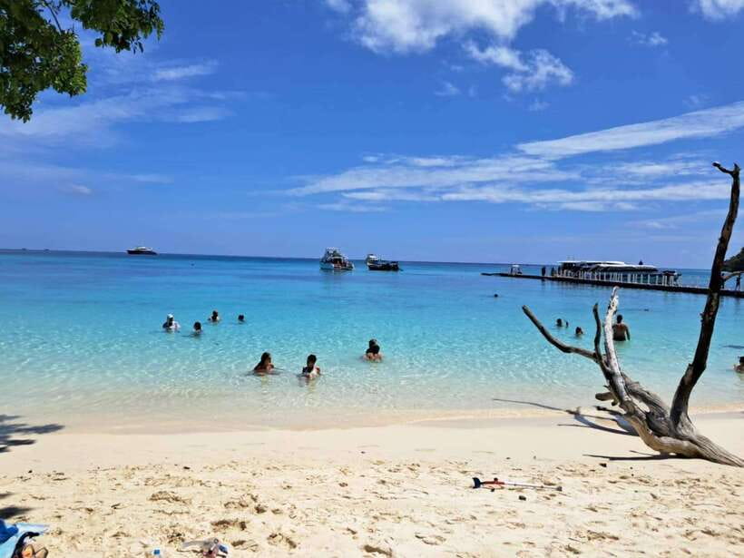 Koh Lanta: Koh Rok and Koh Haa Snorkeling Adventure - Hotel Pickup and Speedboat Timing: Getting to the Reefs with Minimal Stress
