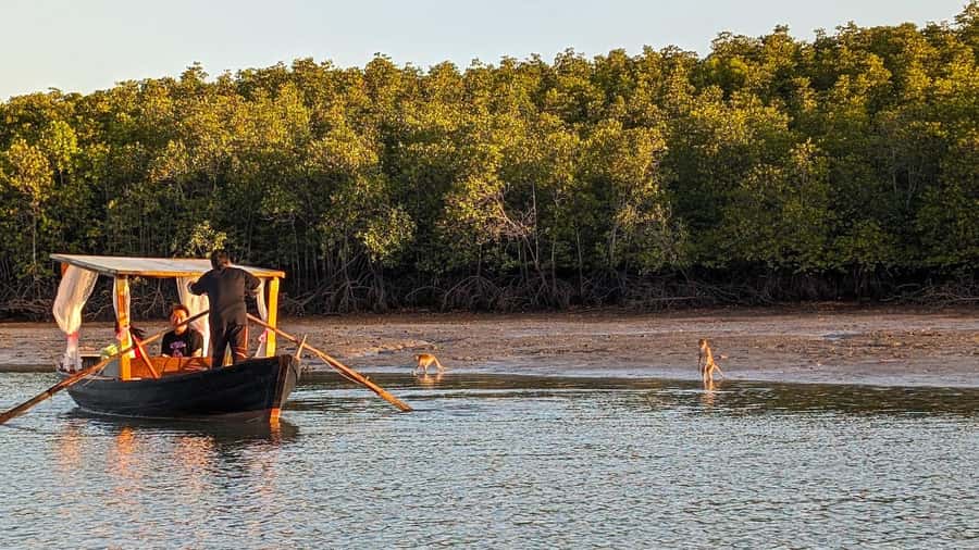 Koh Lanta: Romantic Sunrise Private Gondola Tour - The boat breakfast: fish and sticky rice, coffee, and hot chocolate