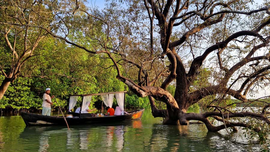 Koh Lanta: Romantic Sunrise Private Gondola Tour - Price and value: what $82 buys you on this kind of morning