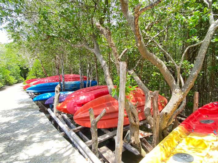 Koh Lanta:Mangrove + Elephant Camp Half Day Tour - From your resort to Thung Yee Peng: the easy start