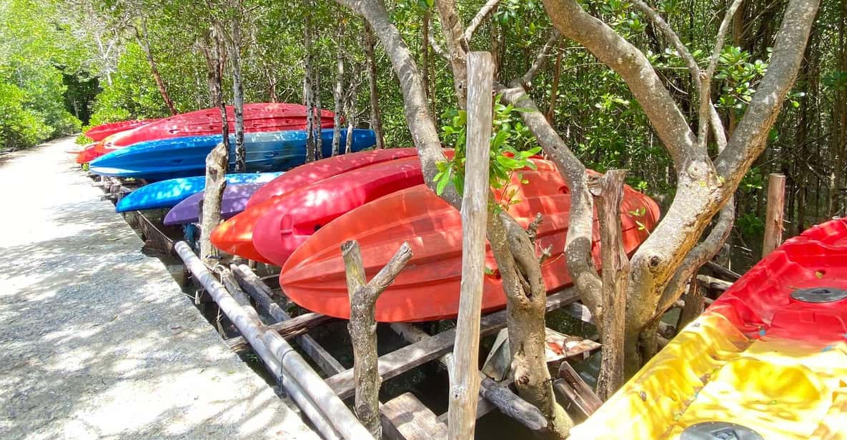 Koh Lanta:Mangrove + Elephant Camp Half Day Tour - Thung Yee Peng village stop: why the entrance matters