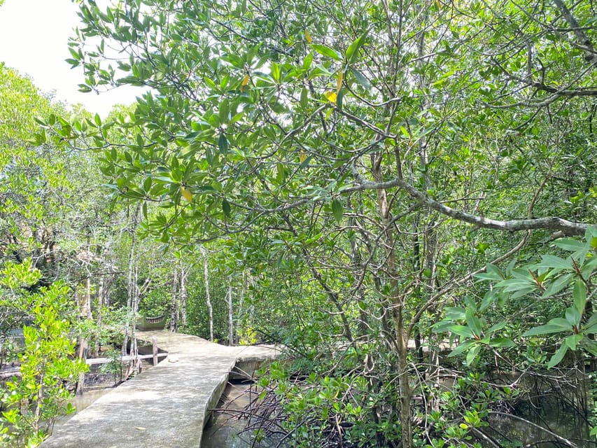 Koh Lanta:Mangrove + Elephant Camp Half Day Tour - Elephant camp at Tum Mai Kaew: feeding time with names and stories