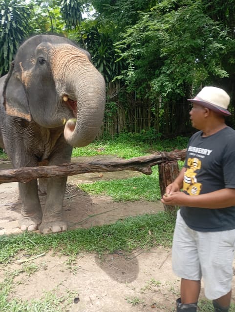 Koh Lanta:Mangrove + Elephant Camp Half Day Tour - What you actually pay for: price and included value