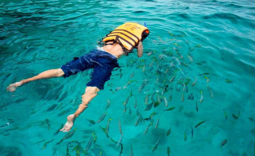 Koh Lipe: 5 Island Snorkeling Trip by Longtail Boat w/ Lunch - Should you book this Koh Lipe 5 island snorkeling trip?