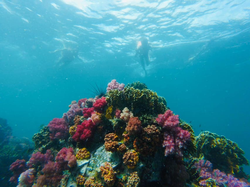 Koh Lipe: 7 Island Snorkeling Trip by Longtail Boat w/ Lunch - Hin Ngam: black stones for photos and a short walk