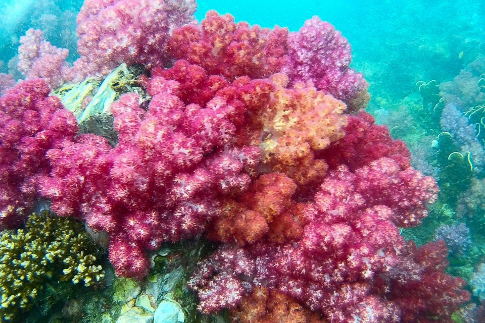 Koh Lipe: Full Day Multi-Island Snorkeling Trip with Lunch - What You’re Really Buying for $28