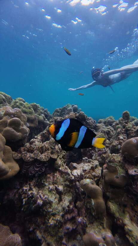 Koh Lipe: Half-Day Snorkelling Trip To 4 Islands 5 Points - Aboard a Traditional Longtail Boat: The Comfort and the Trade-Off