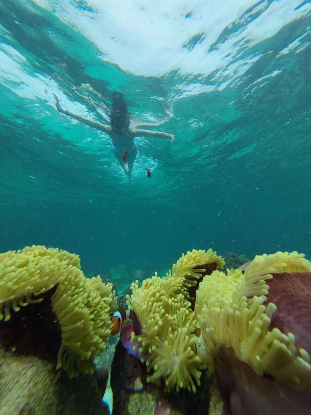 Koh Lipe: Half-Day Snorkelling Trip To 4 Islands 5 Points - Hin Ngam Island and the Black Stone Beach Photo Stop