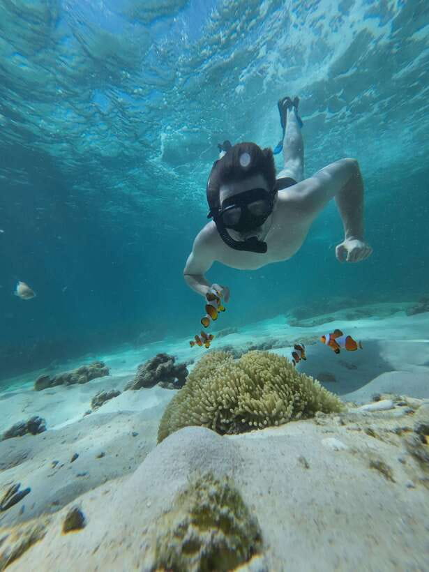 Koh Lipe: Half-Day Snorkelling Trip To 4 Islands 5 Points - Snorkeling Behind Hin Ngam: Clownfish and Reef Rock