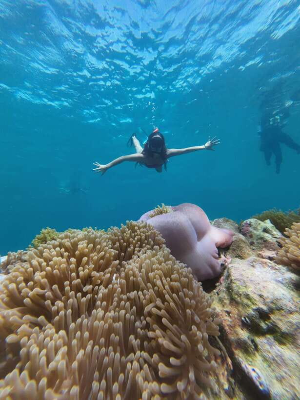 Koh Lipe: Half-Day Snorkelling Trip To 4 Islands 5 Points - Gear, Guide, and GoPro Photos: What You Get Without Extra Hassle