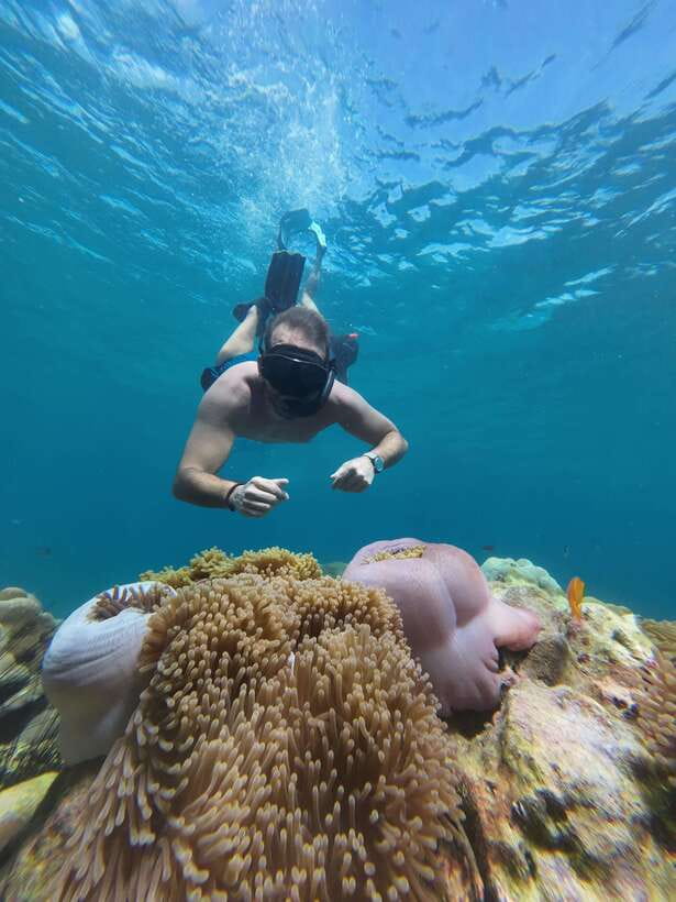Koh Lipe: Half-Day Snorkelling Trip To 4 Islands 5 Points - Meeting Point Reality: Check-In at Wichit Tour Koh Lipe Near 7-Eleven