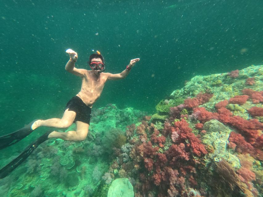 Koh Lipe: Outer Islands Snorkeling Trip by Longtail Boat - Meeting at Wichit and the Small-Group Advantage (Up to 10)