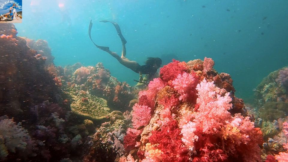 Koh Lipe: Outer Islands Snorkeling Trip by Longtail Boat - Snorkeling Reality: Equipment, Guide Help, and the Photo Surprise