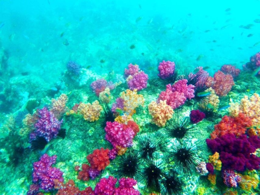Koh Lipe Snorkeling Trip 6 hours Trip1 - Koh Hin Ngam: black-rock beach photos plus reef snorkeling