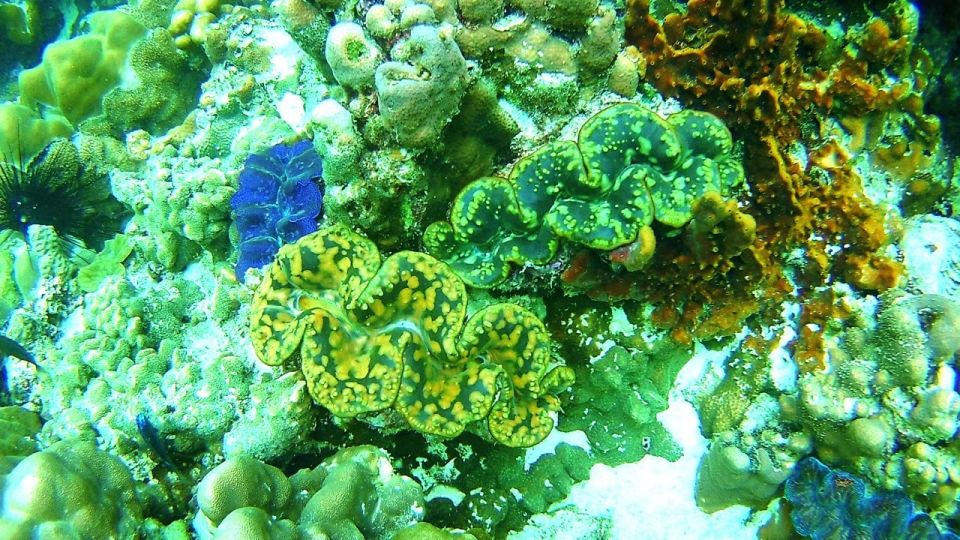 Koh Lipe Snorkeling Trip 6 hours Trip1 - Rawi Island (about 11:00 a.m.): white sand, sun time, and lunch